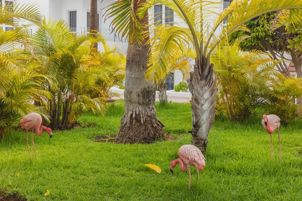 Flamingo Beach Mate Costa Adeje  Ισπανία